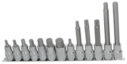 [SP20566] SOCKET RAIL SET 1/2&quot;DR 13PC METRIC INHEX/SPLINE